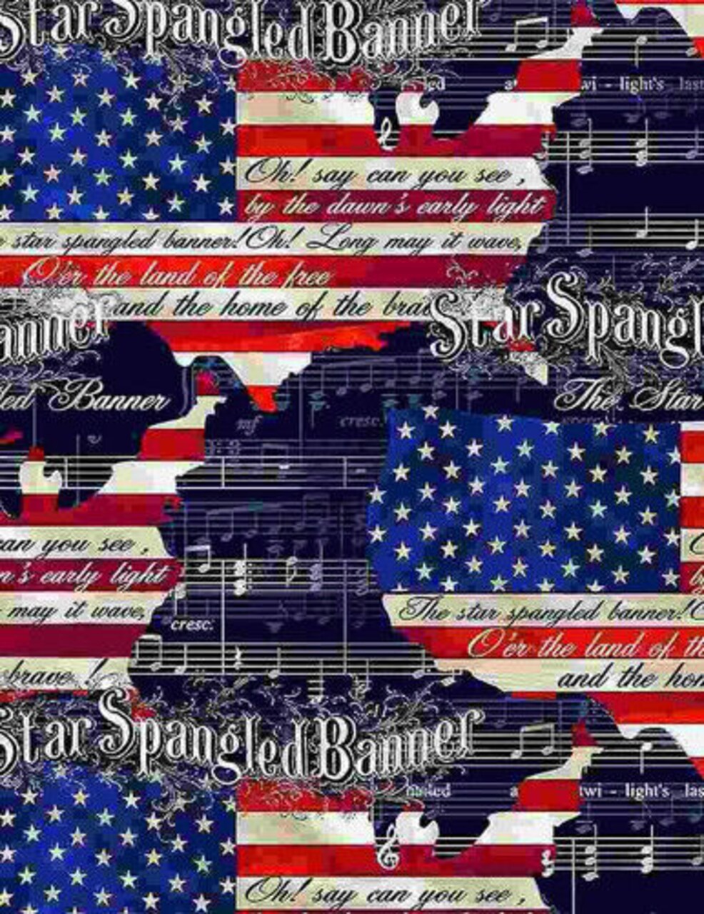 Patriotic Freedom American Flag USA Cotton Fabric by Timeless Treasures